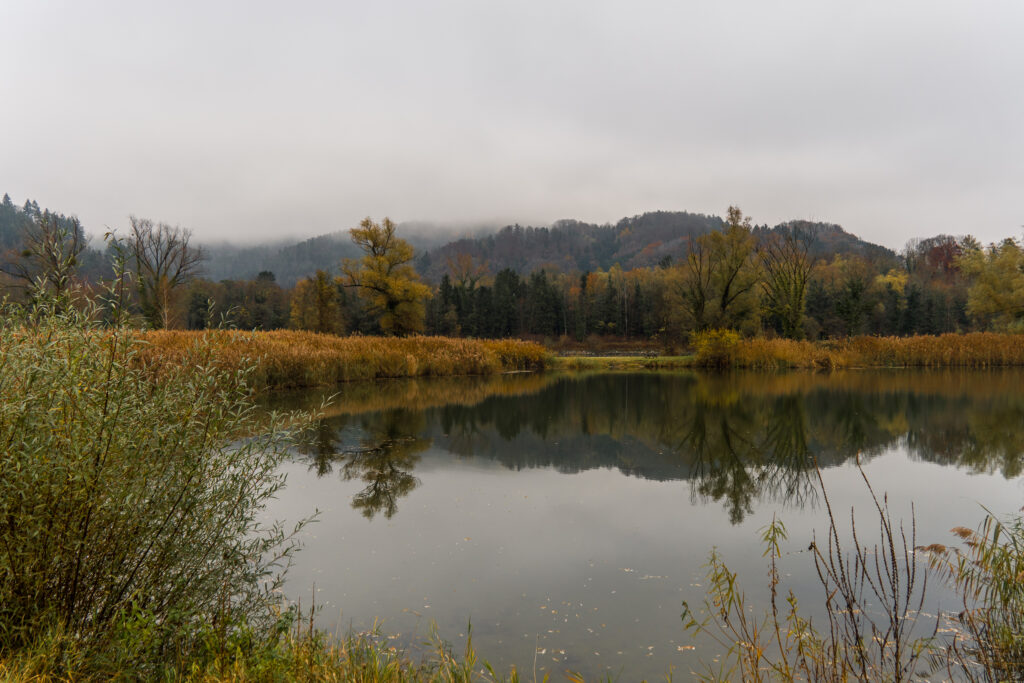 Herbstfarben gibt es trotzdem