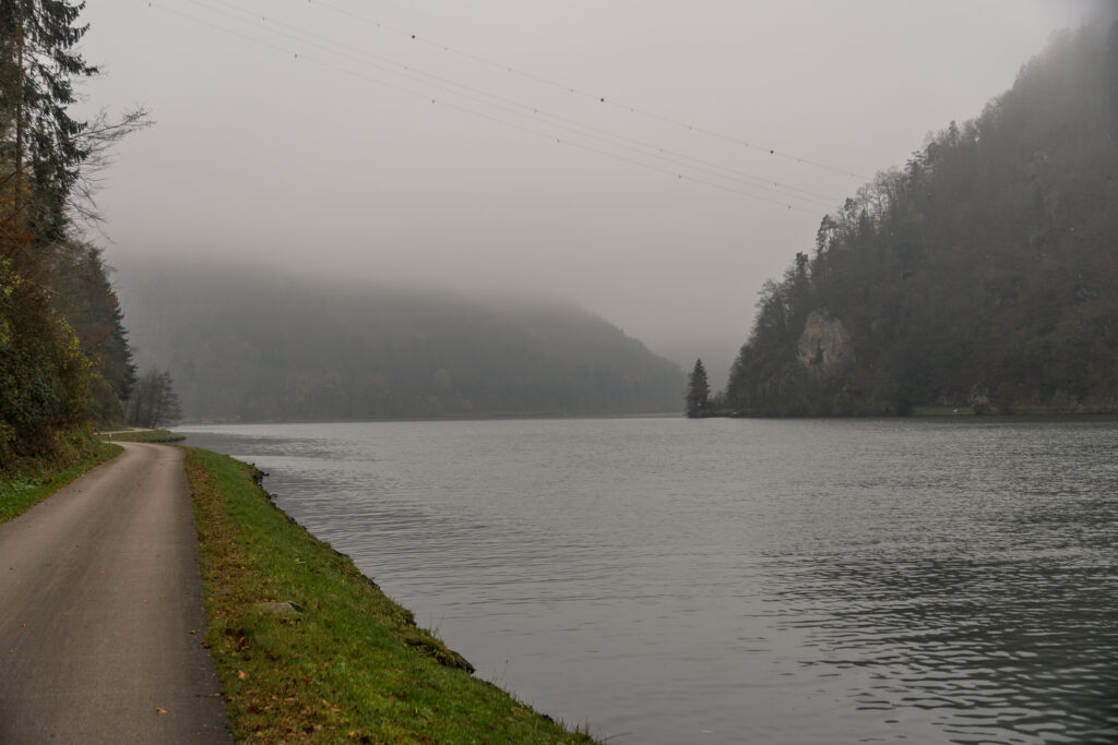 Schlögener Nebel-Schlinge