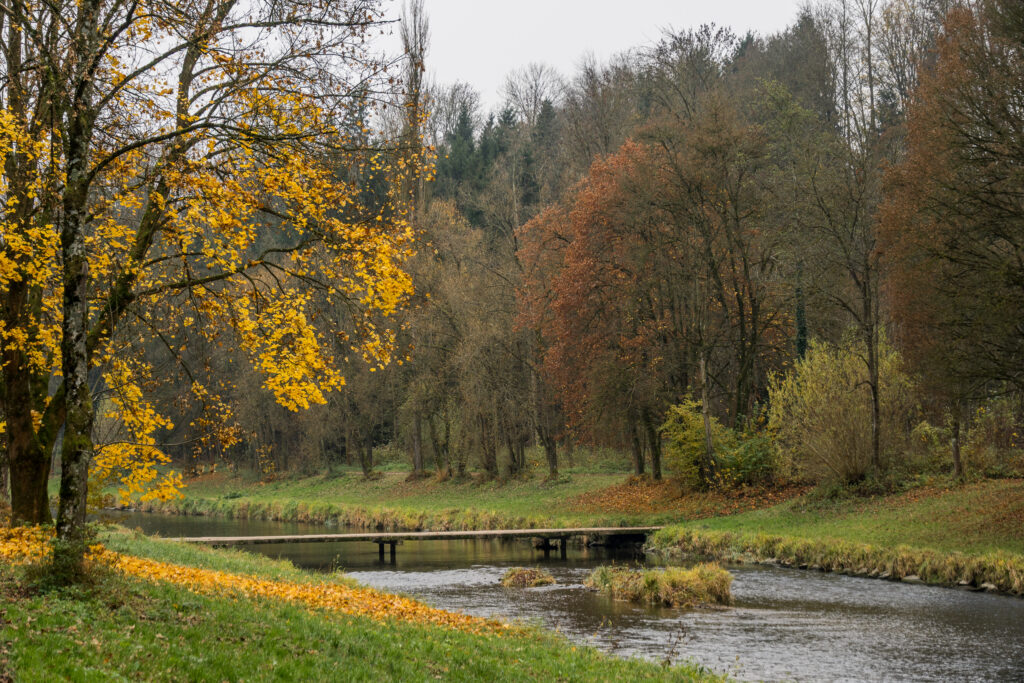 Die letzten Blätter fallen