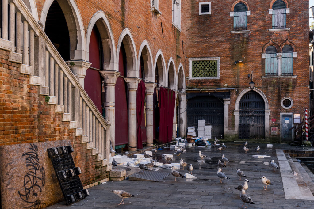 Resteverwertung vom Fischmarkt