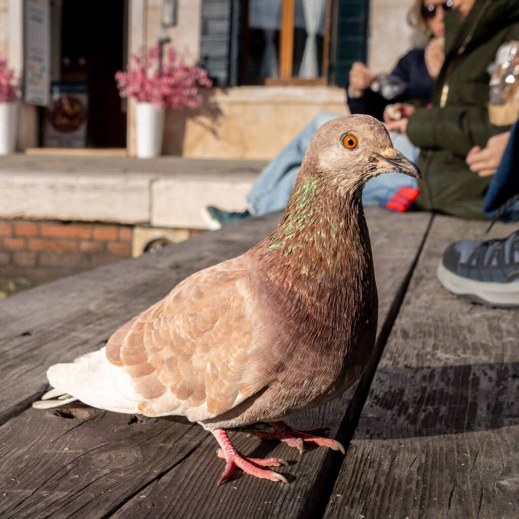 Warten auf die Reste