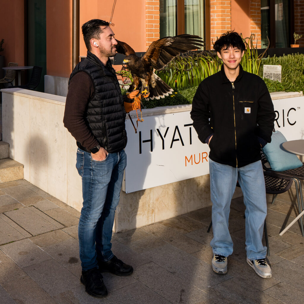 Mittel gegen Möwen?