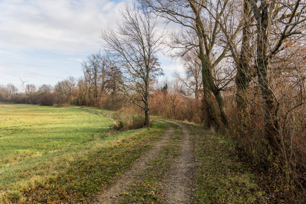 Heute wirds gravelig