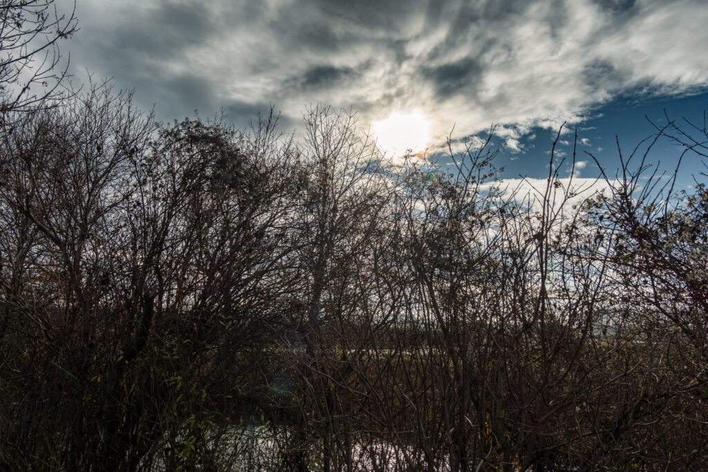 Schau, da kommt die Sonne