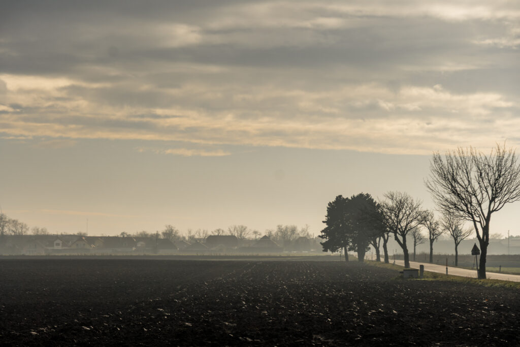 Den Nebel lassen wir in Wien zurück