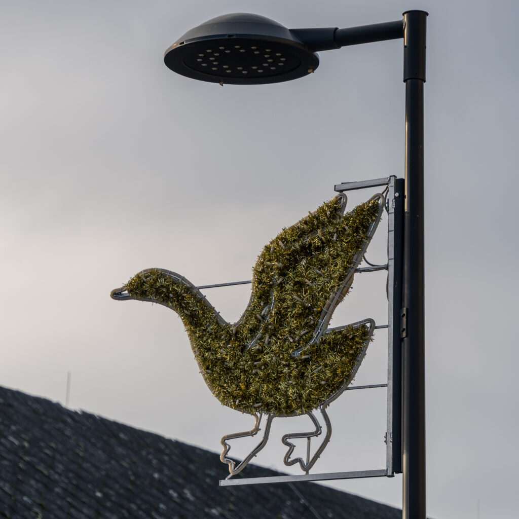 Gänserndorfer Weihnachtsgans