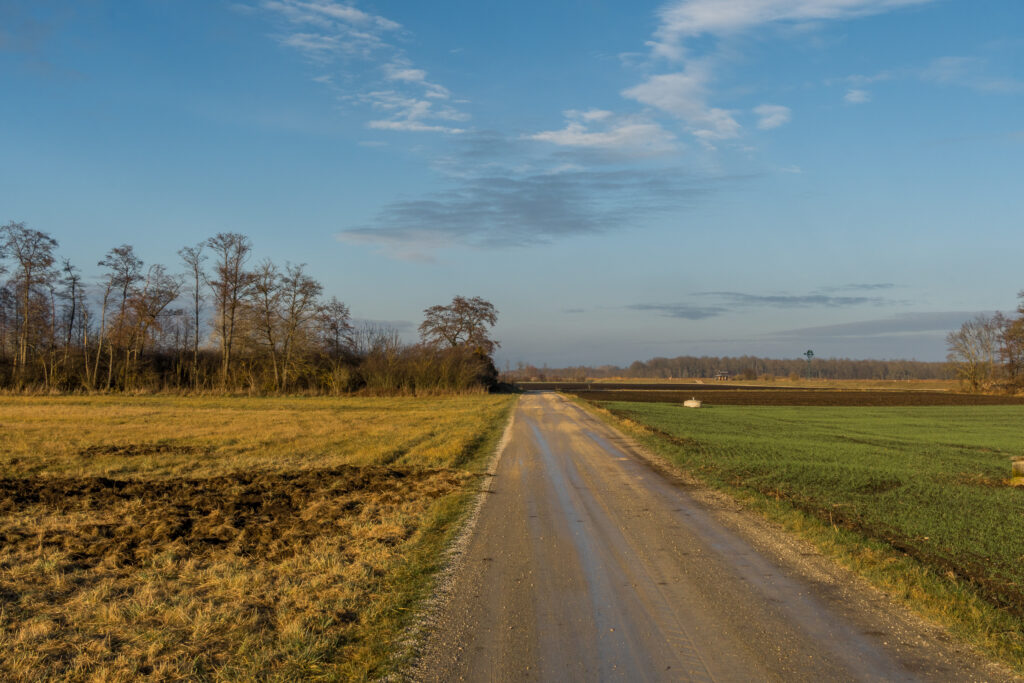 Die Schlammschlacht geht weiter