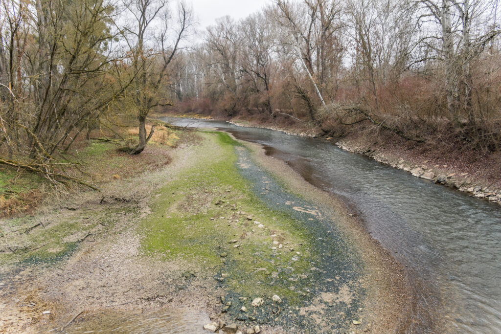 Die Sandbank lässt Gras drüber wachsen