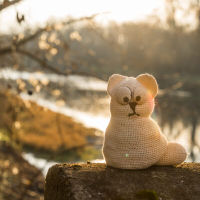 Wien – Tulln an der Donau – St. Pölten