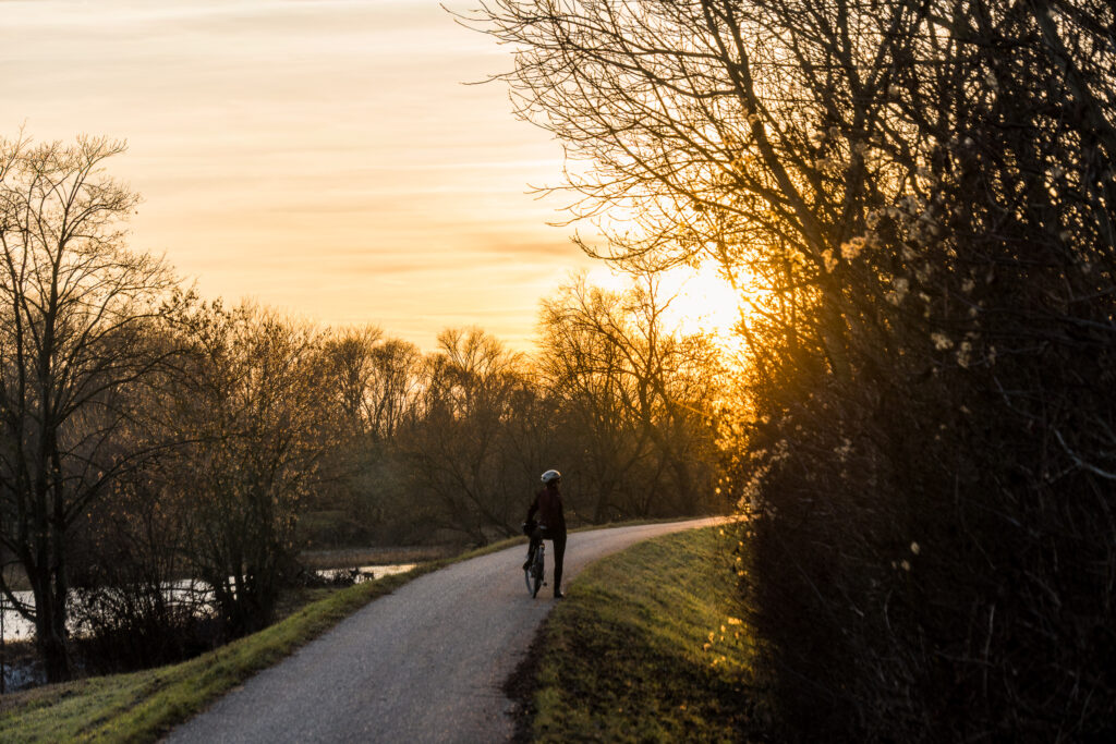 Der letzten Sonne entgegen