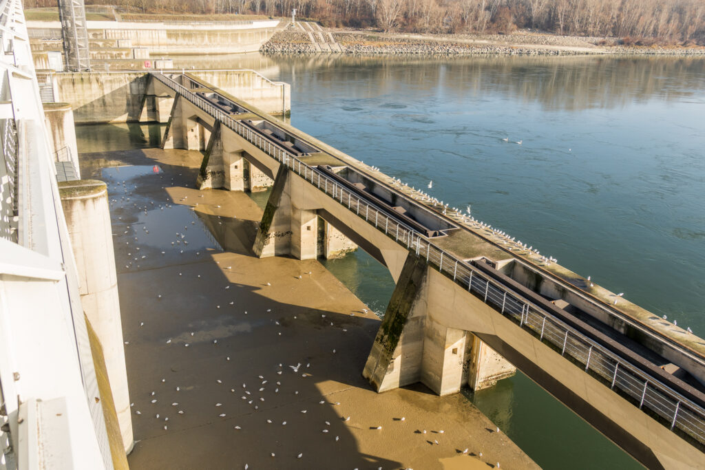 Schaut ein bisserl trocken aus