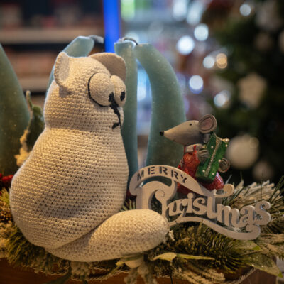 Wien – Brrrrrratislava