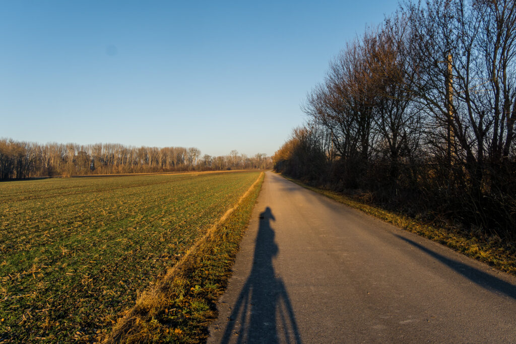 Lange Schatten eilen uns voraus in die Gold-Braune Stunde