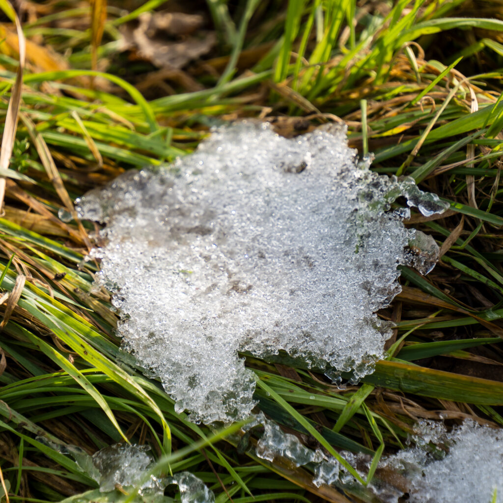 Vom Eise (fast) befreit...