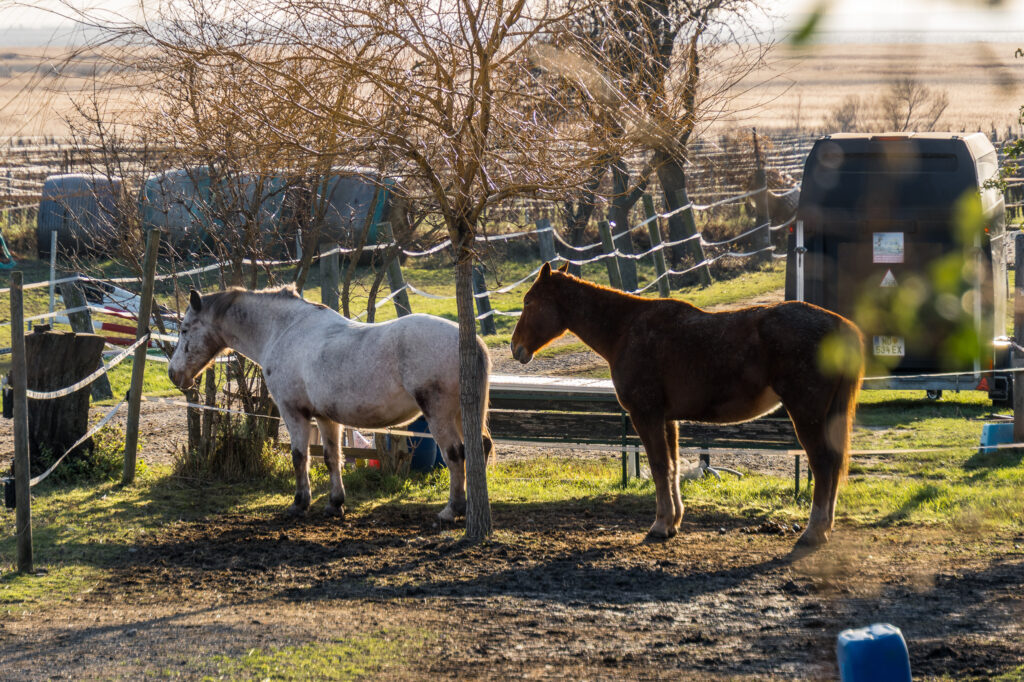 Ist ihnen nicht kalt?