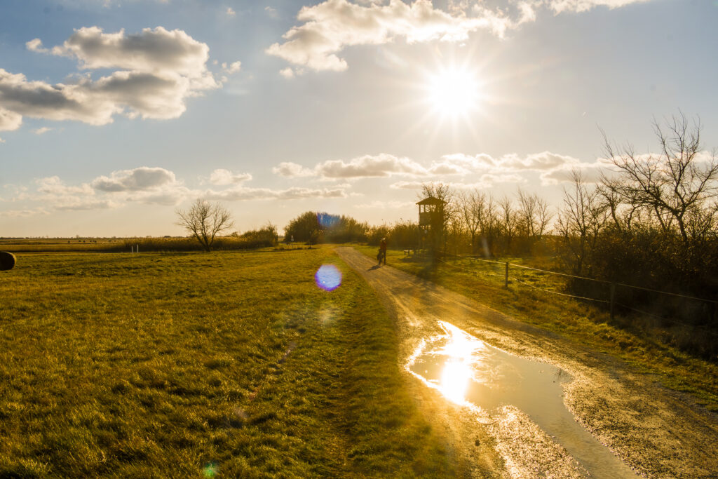 Den Radweg haben wir für uns alleine