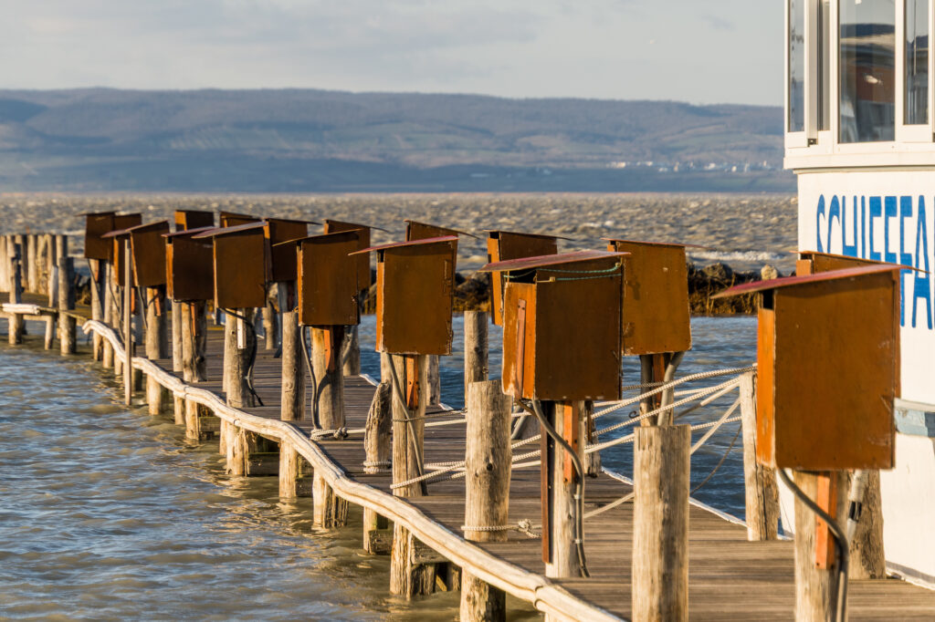 Sieht aus wie Nistkästen