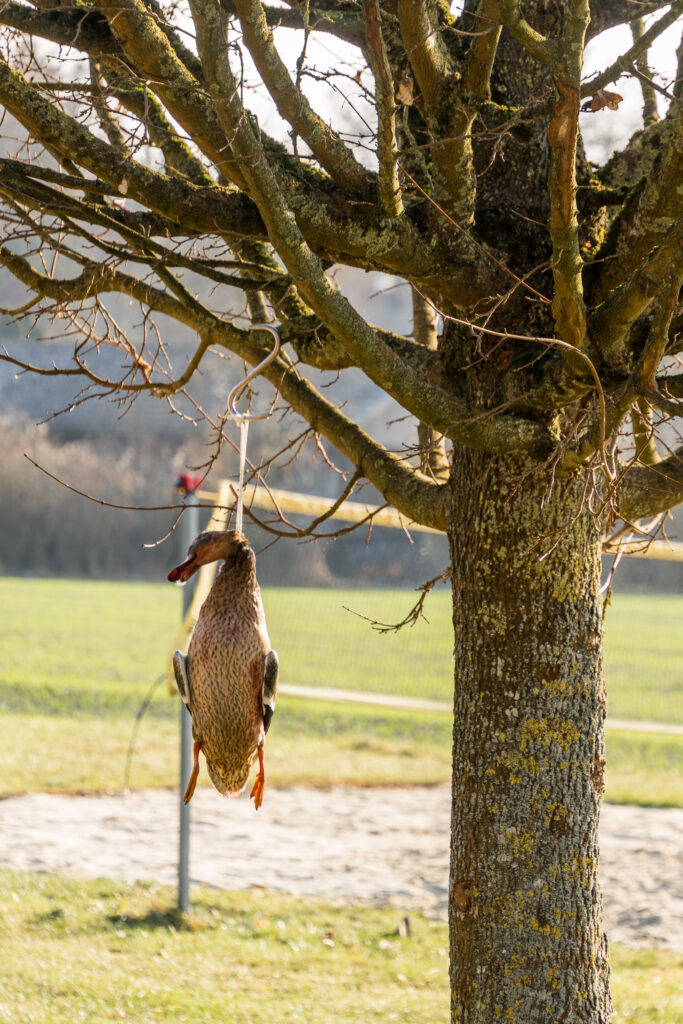Tödliche Weihnachten