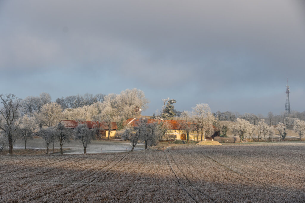 Irgendwie schon hübsch