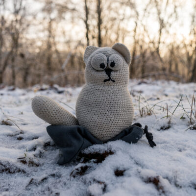 Linz – Wels – Linz