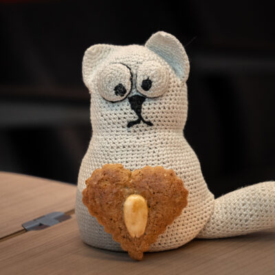 Linz – Linz & Wien – Wien