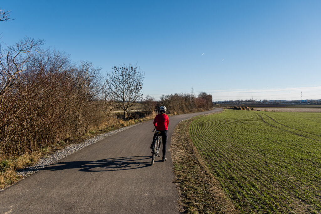 Wann wirds denn endlich wieder Frühling?