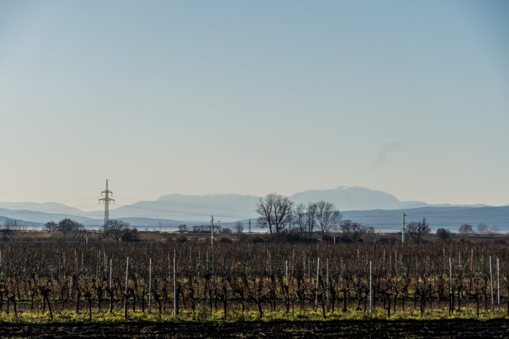 Während andere auf den Bergen sind und Schi fahren ....