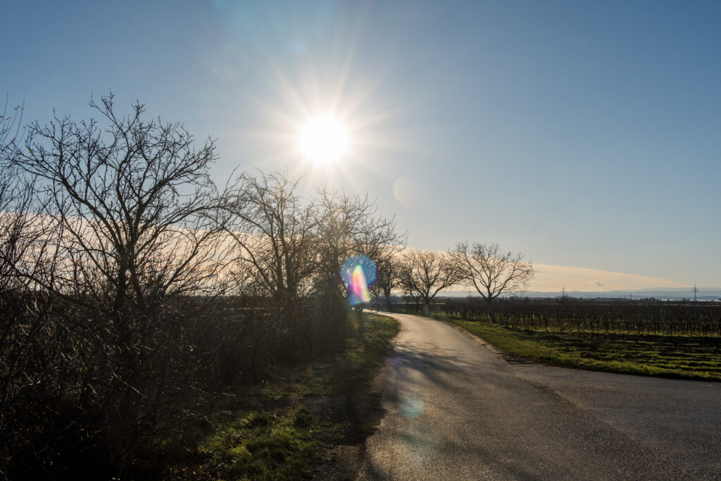 Nicht schon wieder untergehen