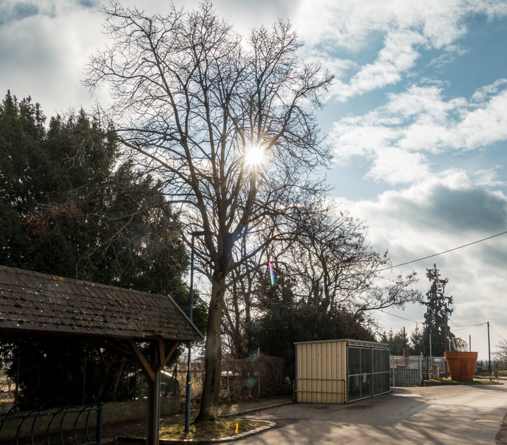 Da ist sie ja wieder - nach fast 60km