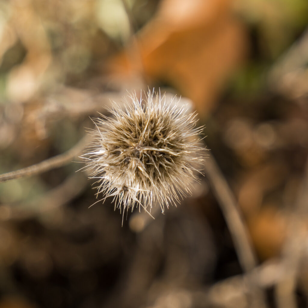 Erinnert sich noch wer an Corona?