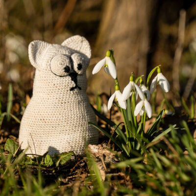 Wien – Krems an der Donau