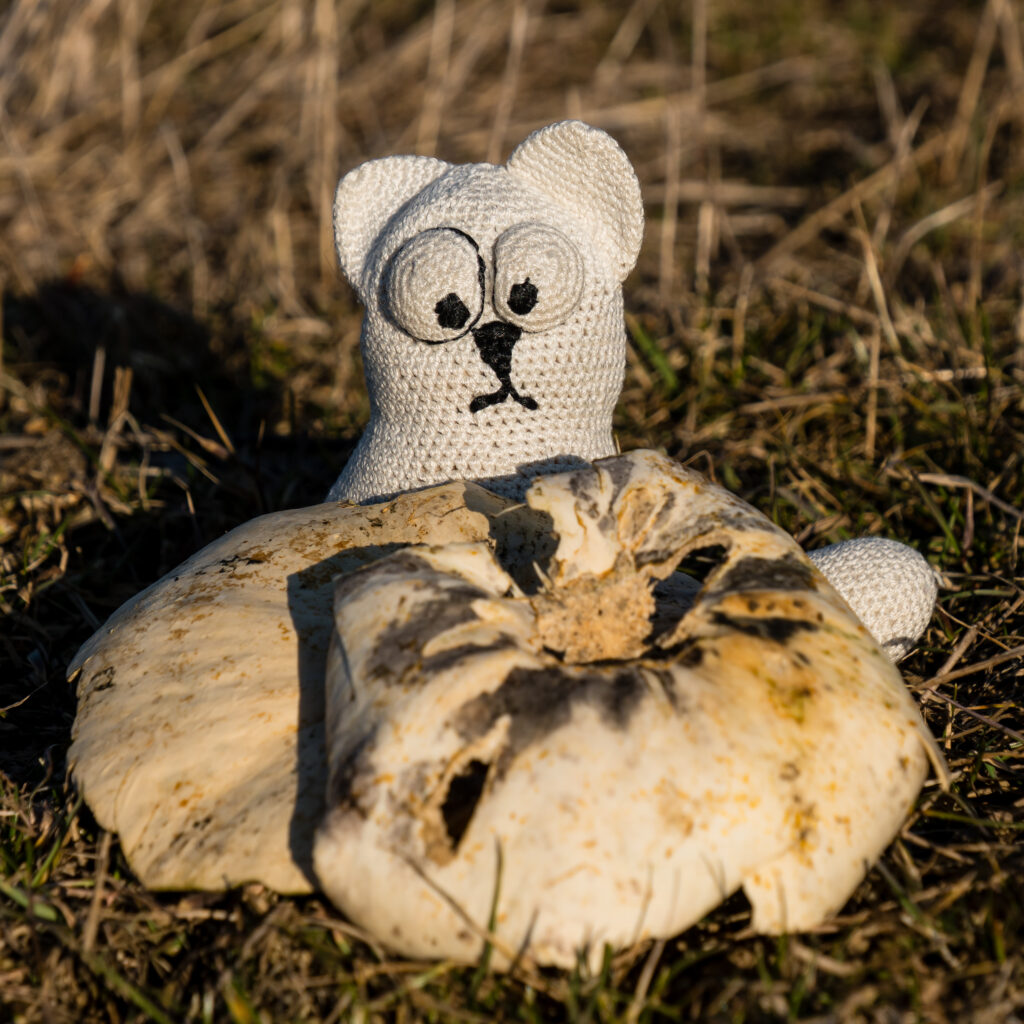 Was von Halloween übrig blieb - nach 4 Monaten