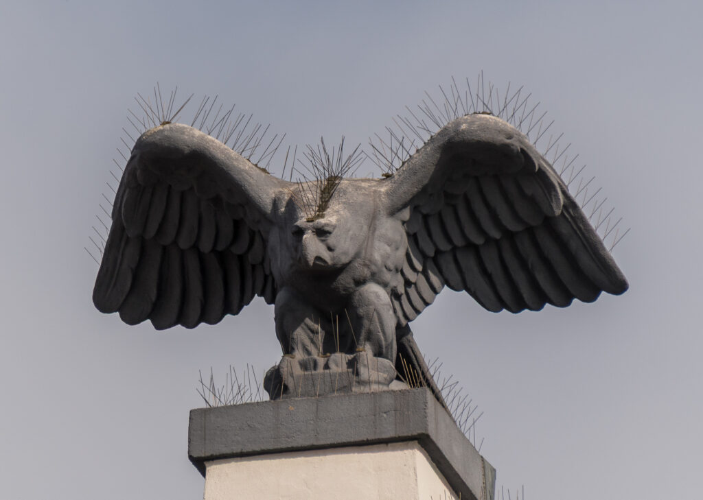 Der bislang unbekannte Weinviertler Igel-Adler