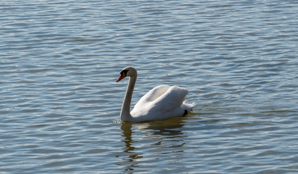 Kann auch sehr elegant