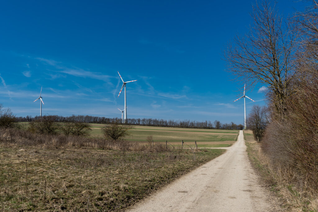 Sind wohl alle auf der Donauinsel - oder vom Winde verweht