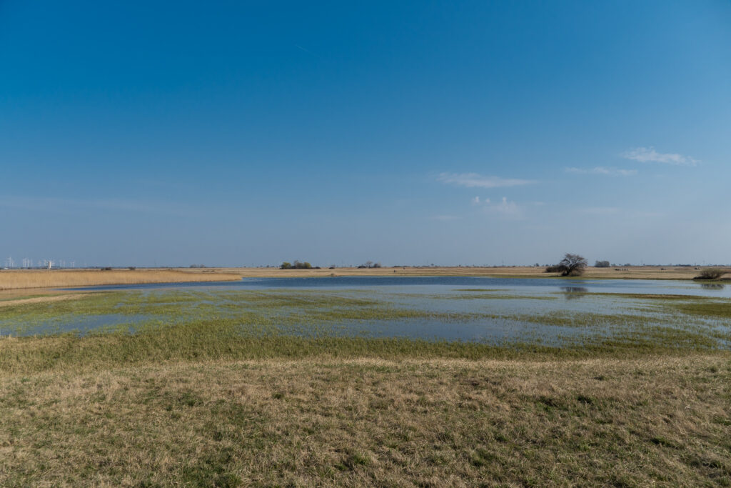Neue Seen im Burgenland