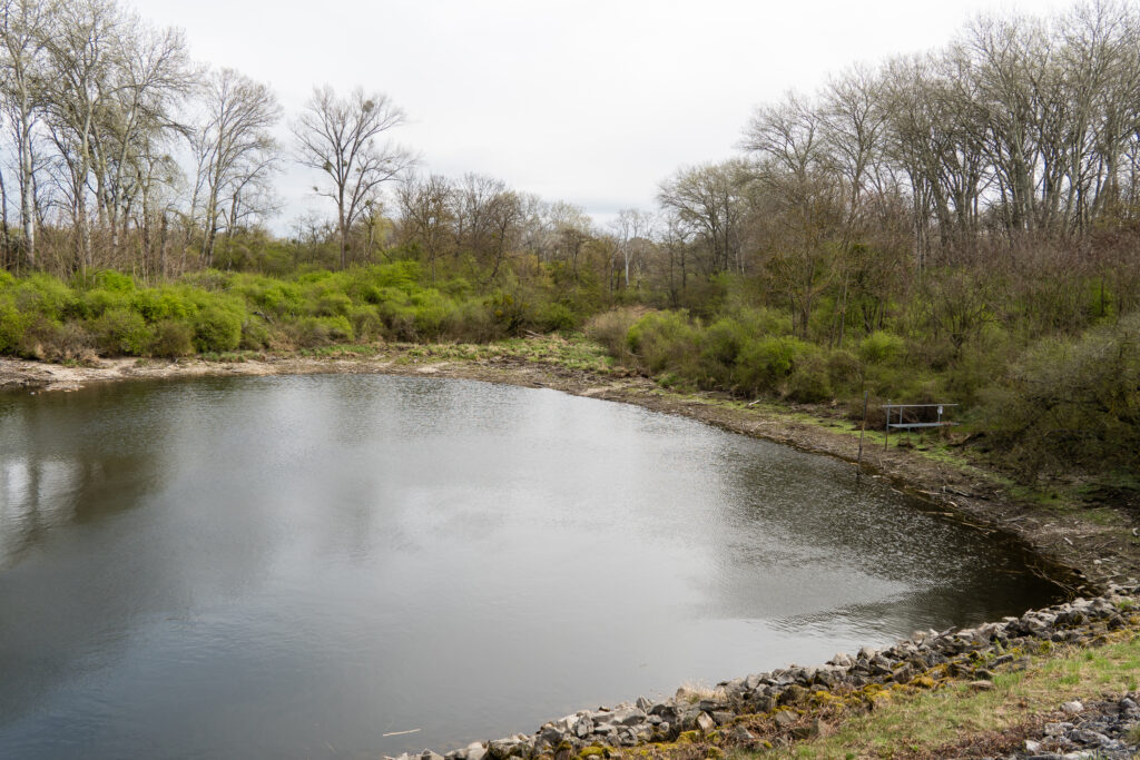 Achtung Hawking-Strahlung in der Lobau: Das Schwarze Loch verdampft