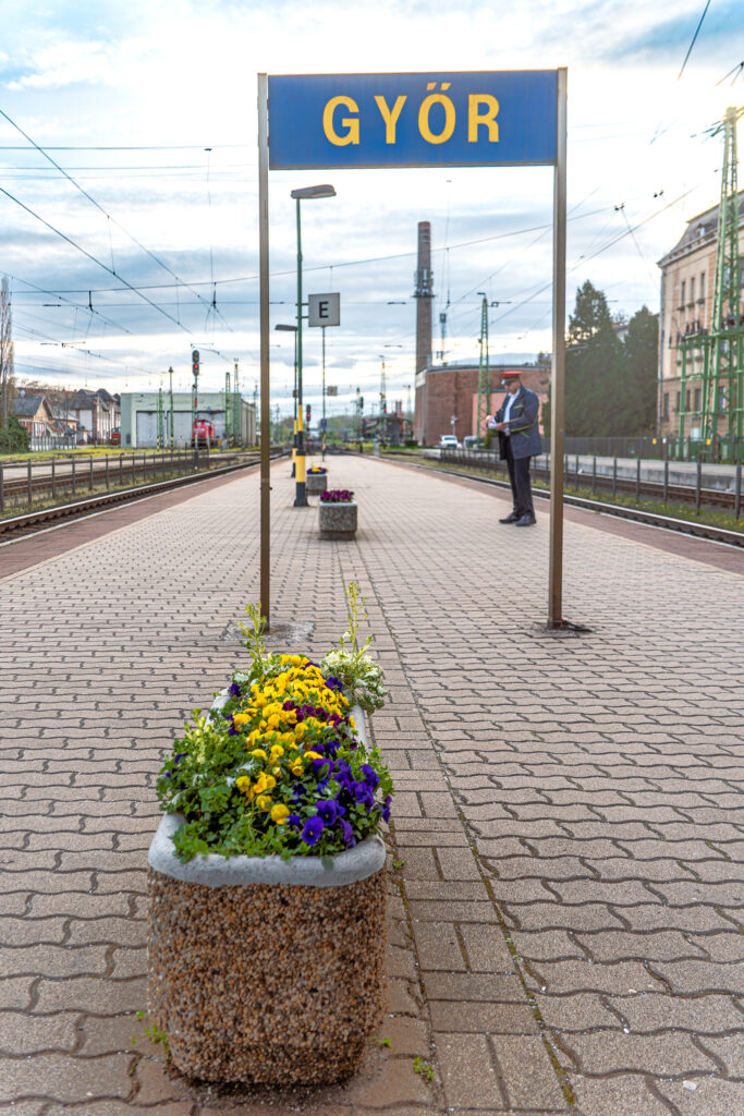 Millionen Stiefmütterchen sind zurück auf Ungarns Bahnhöfen