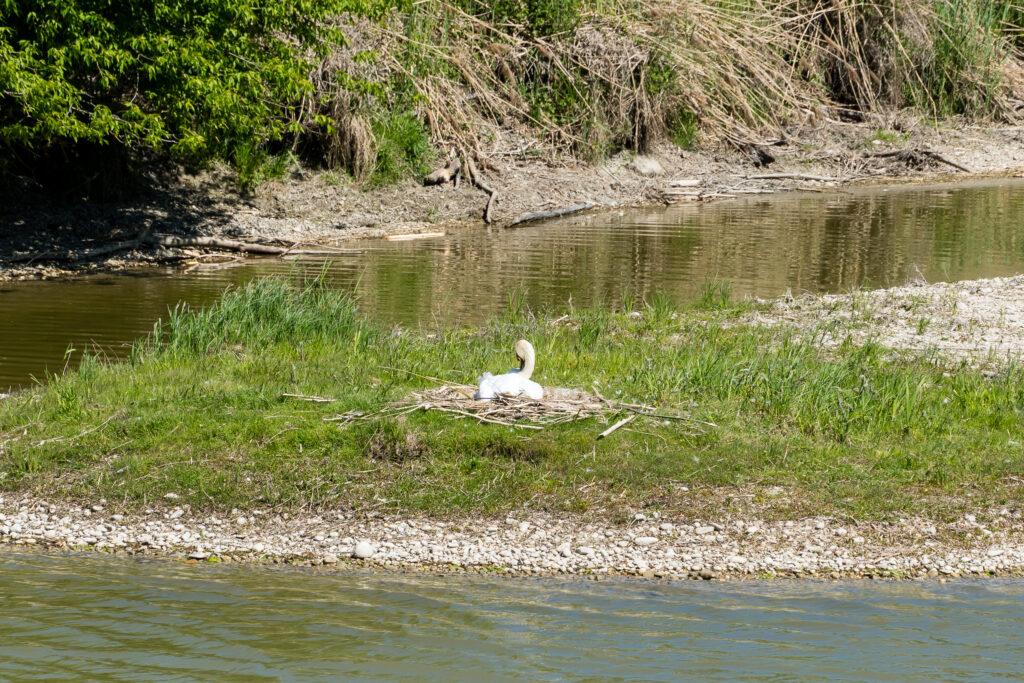Beim nächsten Hochwasser habt ihr ein Hausboot