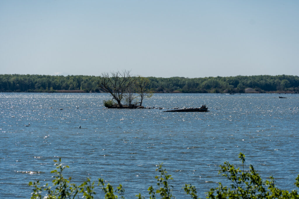 Islands in the Stream