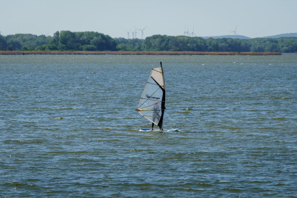 Segeln ist das Motto des Tages