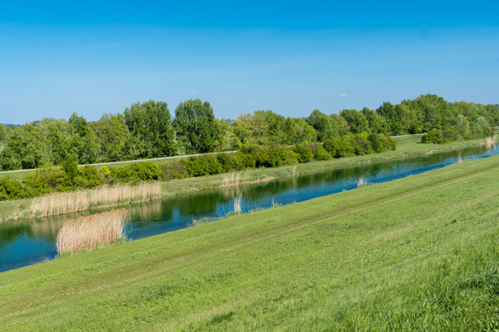 Grün in Grün in Grün