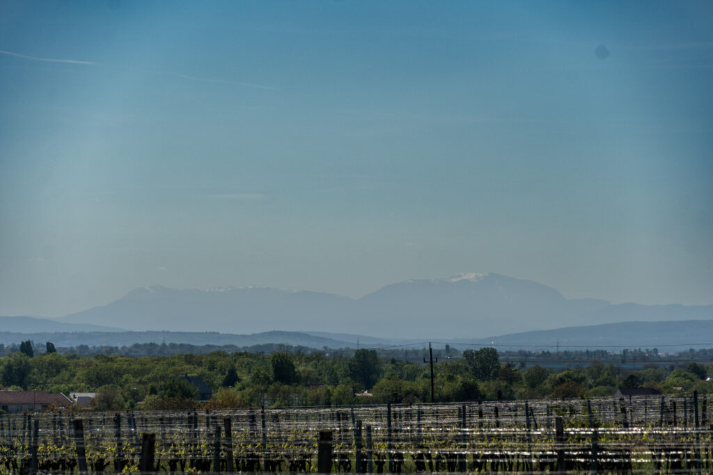Snow on the Mountain