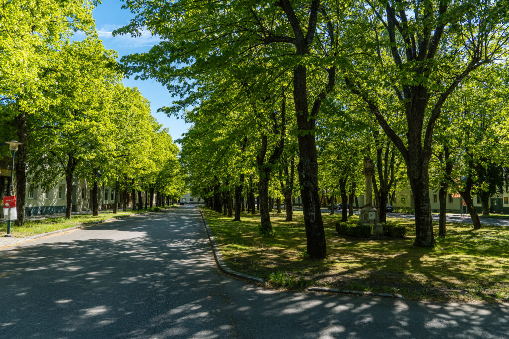Unter den Linden - von Halbturn
