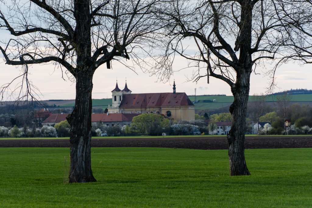 Klaster