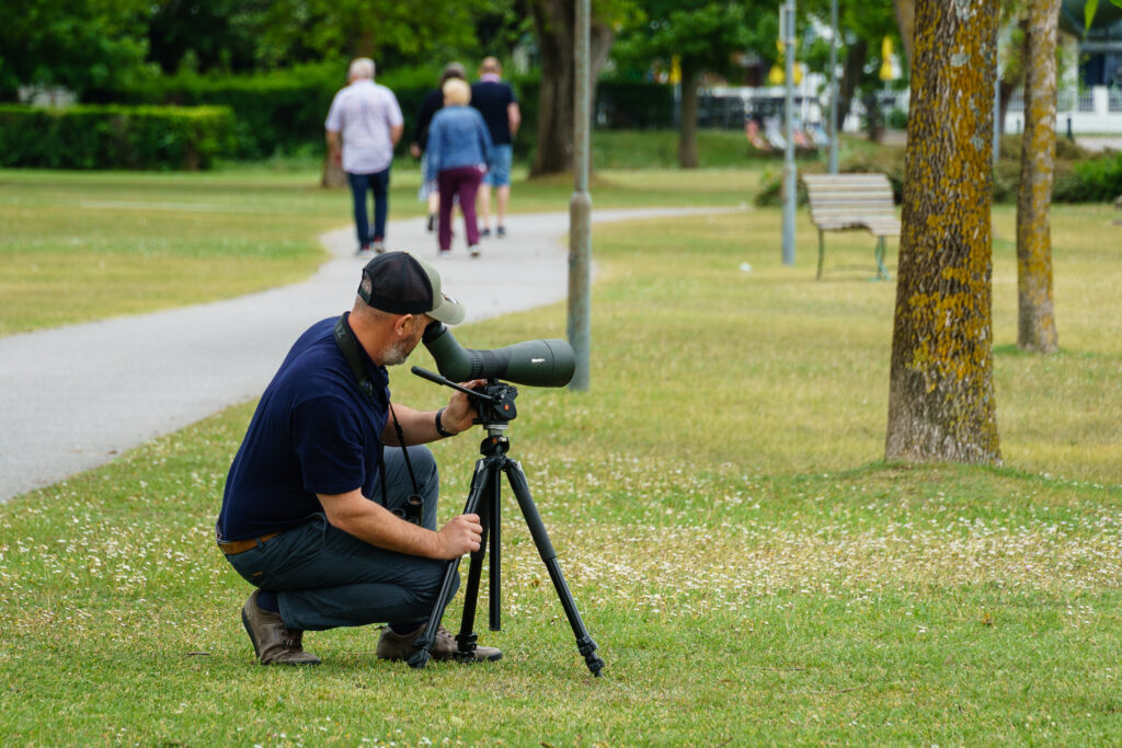 Bird-Stalking