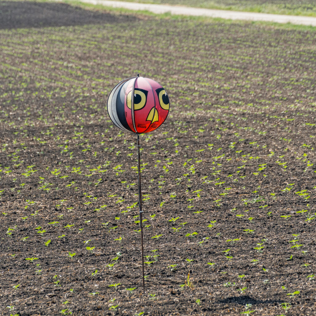 Angry Bird als Vogelscheuche