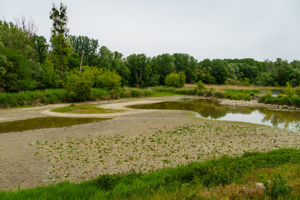 Die Schwaneninsel ist auch keine Insel mehr