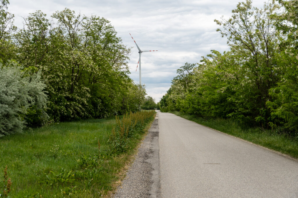 Empty Roads