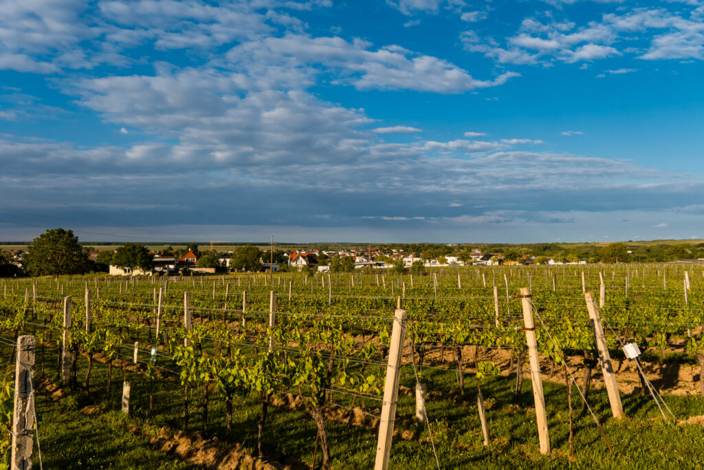 Blaufränkischland